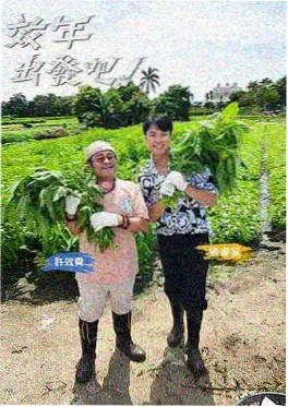短剧剪辑 行业观察 资讯配图